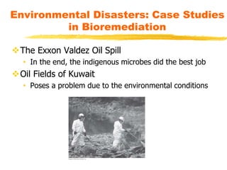 The Exxon Valdez Oil Spill
• In the end, the indigenous microbes did the best job
Oil Fields of Kuwait
• Poses a problem due to the environmental conditions
Environmental Disasters: Case Studies
in Bioremediation
 
