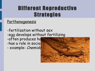 Reproductive Strategy Example Non-Mammalian Reproduction | PPT