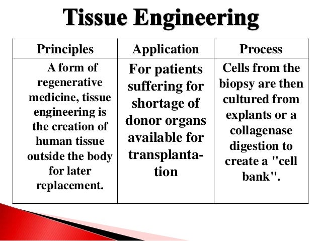 modern medical biotechnology medical biotechnology