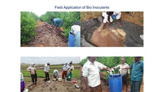 Bio Resource Centres | PPTX
