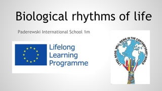 Biological rhythms of life
Paderewski International School 1m
 
