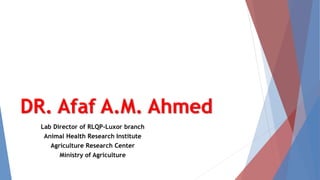 DR. Afaf A.M. Ahmed
Lab Director of RLQP-Luxor branch
Animal Health Research Institute
Agriculture Research Center
Ministry of Agriculture
 