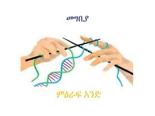 መግቢያ
ምዕራፍ አንድ
 