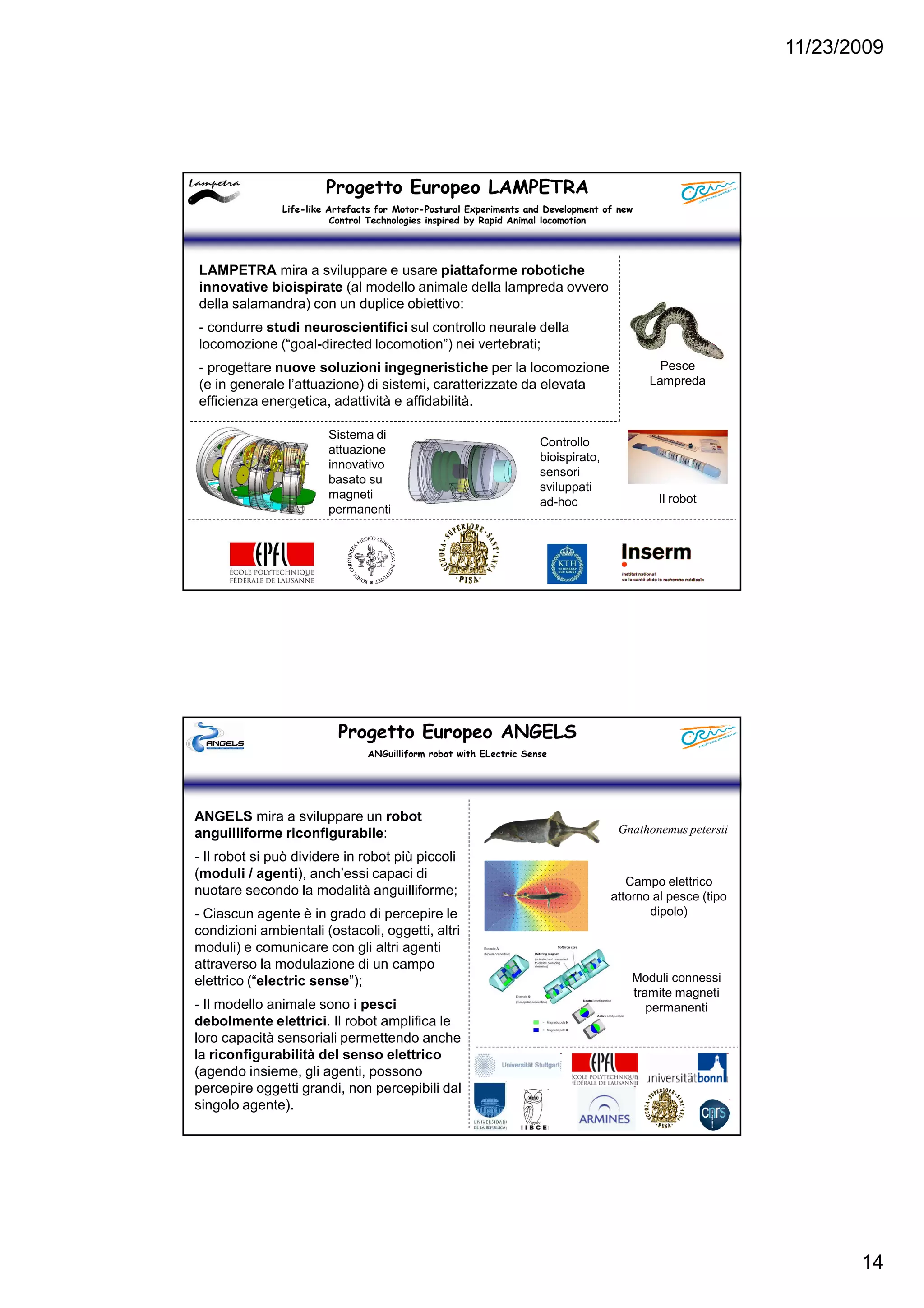 11/23/2009
14
Progetto Europeo LAMPETRA
Life-like Artefacts for Motor-Postural Experiments and Development of new
Control Technologies inspired by Rapid Animal locomotion
LAMPETRA mira a sviluppare e usare piattaforme robotiche
innovative bioispirate (al modello animale della lampreda ovvero
della salamandra) con un duplice obiettivo:
- condurre studi neuroscientifici sul controllo neurale della
locomozione (“goal-directed locomotion”) nei vertebrati;
- progettare nuove soluzioni ingegneristiche per la locomozione
(e in generale l’attuazione) di sistemi, caratterizzate da elevata
efficienza energetica, adattività e affidabilità.
Pesce
Lampreda
Il robot
Sistema di
attuazione
innovativo
basato su
magneti
permanenti
Controllo
bioispirato,
sensori
sviluppati
ad-hoc
Progetto Europeo ANGELS
ANGuilliform robot with ELectric Sense
ANGELS mira a sviluppare un robot
anguilliforme riconfigurabile:
- Il robot si può dividere in robot più piccoli
(moduli / agenti), anch’essi capaci di
nuotare secondo la modalità anguilliforme;
- Ciascun agente è in grado di percepire le
condizioni ambientali (ostacoli, oggetti, altri
moduli) e comunicare con gli altri agenti
attraverso la modulazione di un campo
elettrico (“electric sense”);
- Il modello animale sono i pesci
debolmente elettrici. Il robot amplifica le
loro capacità sensoriali permettendo anche
la riconfigurabilità del senso elettrico
(agendo insieme, gli agenti, possono
percepire oggetti grandi, non percepibili dal
singolo agente).
Gnathonemus petersii
Campo elettrico
attorno al pesce (tipo
dipolo)
Moduli connessi
tramite magneti
permanenti
 
