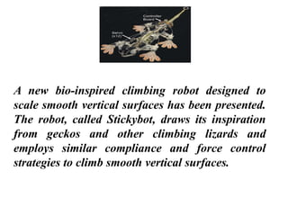 Stickybot Biorobotics | PDF