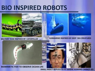 BIO ROBOTICS- Bio-robotics is a multidisciplinary field that combines ...