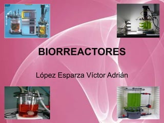 BIORREACTORES

López Esparza Víctor Adrián
 
