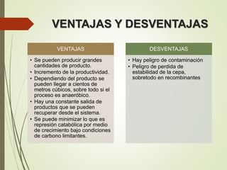 VENTAJAS Y DESVENTAJAS
VENTAJAS
• Se pueden producir grandes
cantidades de producto.
• Incremento de la productividad.
• Dependiendo del producto se
pueden llegar a cientos de
metros cúbicos, sobre todo si el
proceso es anaeróbico.
• Hay una constante salida de
productos que se pueden
recuperar desde el sistema.
• Se puede minimizar lo que es
represión catabólica por medio
de crecimiento bajo condiciones
de carbono limitantes.
DESVENTAJAS
• Hay peligro de contaminación
• Peligro de perdida de
estabilidad de la cepa,
sobretodo en recombinantes
 