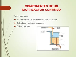 COMPONENTES DE UN
BIORREACTOR CONTINUO
Se compone de:
 Un reactor con un volumen de cultivo constante
 Entrada de nutrientes constante
 Salida biomasa
 