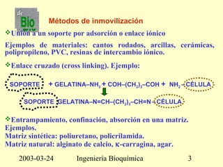 2003-03-24 Ingeniería Bioquímica 3
Métodos de inmovilización
Unión a un soporte por adsorción o enlace iónico
Ejemplos de materiales: cantos rodados, arcillas, cerámicas,
polipropileno, PVC, resinas de intercambio iónico.
Enlace cruzado (cross linking). Ejemplo:
SOPORTE + GELATINA–NH2 + COH–(CH2)3–COH + NH2 – CÉLULA
SOPORTE .GELATINA–N=CH–(CH2)3–CH=N – CÉLULA
Entrampamiento, confinación, absorción en una matriz.
Ejemplos.
Matriz sintética: poliuretano, policrilamida.
Matriz natural: alginato de calcio, κ-carragina, agar.
 