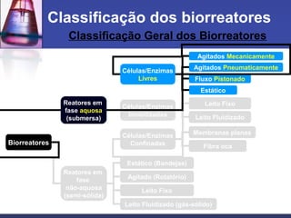 Classificação Geral dos Biorreatores
Classificação dos biorreatores
Reatores em
fase aquosa
(submersa)
Reatores em
fase
não-aquosa
(semi-sólida)
Células/Enzimas
Livres
Células/Enzimas
Imobilizadas
Agitados Mecanicamente
Agitados Pneumaticamente
Fluxo Pistonado
Leito Fixo
Leito Fluidizado
Membranas planas
Fibra oca
Células/Enzimas
Confinadas
Estático (Bandejas)
Agitado (Rotatório)
Leito Fixo
Leito Fluidizado (gás-sólido)
Biorreatores
Estático
 