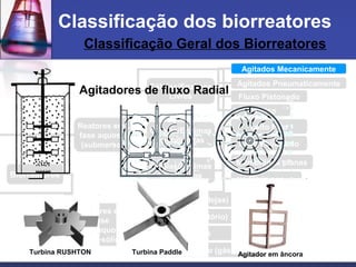 Agitados Pneumaticamente
Agitados Mecanicamente
Fluxo Pistonado
Estático
Classificação Geral dos Biorreatores
Classificação dos biorreatores
Reatores em
fase aquosa
(submersa)
Reatores em
fase
não-aquosa
(semi-sólida)
Células/Enzimas
Livres
Células/Enzimas
Imobilizadas
Leito Fixo
Leito Fluidizado
Membranas planas
Fibra oca
Células/Enzimas
Confinadas
Estático (Bandejas)
Agitado (Rotatório)
Leito Fixo
Leito Fluidizado (gás-sólido)
Biorreatores
Turbina RUSHTON Turbina Paddle Agitador em âncora
Agitadores de fluxo Radial
 
