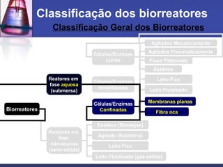 Reatores em
fase
não-aquosa
(semi-sólida)
Células/Enzimas
Livres
Células/Enzimas
Imobilizadas
Agitados Mecanicamente
Agitados Pneumaticamente
Fluxo Pistonado
Leito Fixo
Leito Fluidizado
Estático (Bandejas)
Agitado (Rotatório)
Leito Fixo
Leito Fluidizado (gás-sólido)
Estático
Classificação Geral dos Biorreatores
Classificação dos biorreatores
Reatores em
fase aquosa
(submersa)
Membranas planas
Fibra oca
Células/Enzimas
ConfinadasBiorreatores
 
