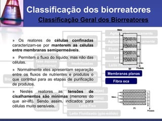 Classificação Geral dos Biorreatores
Classificação dos biorreatores
Reatores em
fase aquosa
(submersa)
Reatores em
fase
não-aquosa
(semi-sólida)
Células/Enzimas
Livres
Células/Enzimas
Imobilizadas
Agitados Mecanicamente
Agitados Pneumaticamente
Fluxo Pistonado
Leito Fixo
Leito Fluidizado
Fibra oca
Células/Enzimas
Confinadas
Estático (Bandejas)
Agitado (Rotatório)
Leito Fixo
Leito Fluidizado (gás-sólido)
Biorreatores
Membranas planas
» Os reatores de células confinadas
caracterizam-se por manterem as células
entre membranas semipermeáveis.
» Permitem o fluxo do líquido, mas não das
células.
» Normalmente eles apresentam separação
entre os fluxos de nutrientes e produtos o
que contribui para as etapas de purificação
de produtos.
» Nestes reatores as tensões de
cisalhamentos são mínimas (menores do
que air-lift). Sendo assim, indicados para
células muito sensíveis.
 