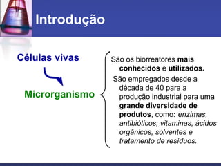 Introdução
São os biorreatores mais
conhecidos e utilizados.
São empregados desde a
década de 40 para a
produção industrial para uma
grande diversidade de
produtos, como: enzimas,
antibióticos, vitaminas, ácidos
orgânicos, solventes e
tratamento de resíduos.
Células vivas
Microrganismo
 