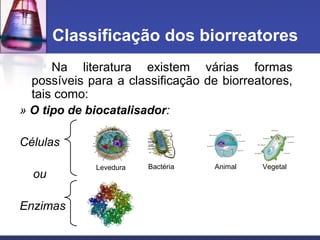 Na literatura existem várias formas
possíveis para a classificação de biorreatores,
tais como:
» O tipo de biocatalisador:
Células
ou
Enzimas
Classificação dos biorreatores
Levedura Bactéria Animal Vegetal
 
