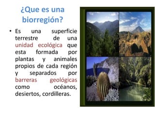 Biorregiones del mundo | PPTX