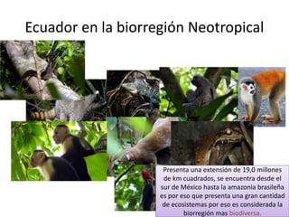 Biorregiones del mundo | PPTX