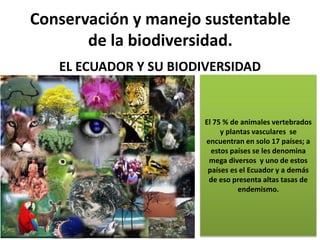 Biorregiones del mundo | PPTX