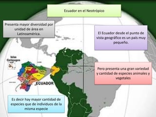 Biorregiones del mundo | PPTX