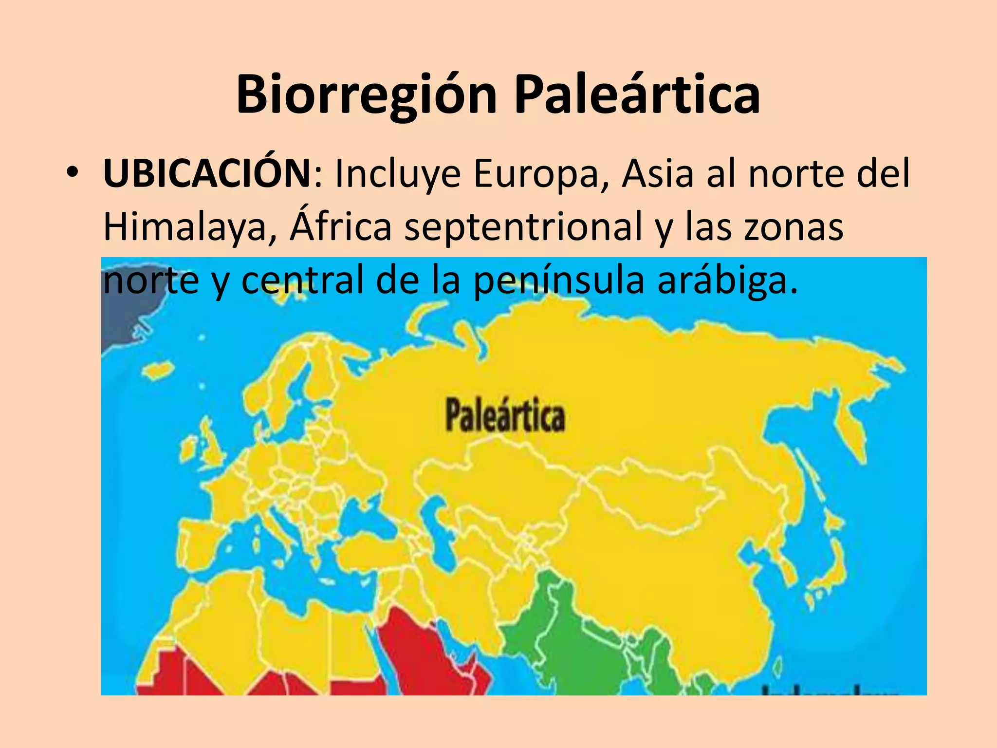 Biorregiones en el mundo | PPTX