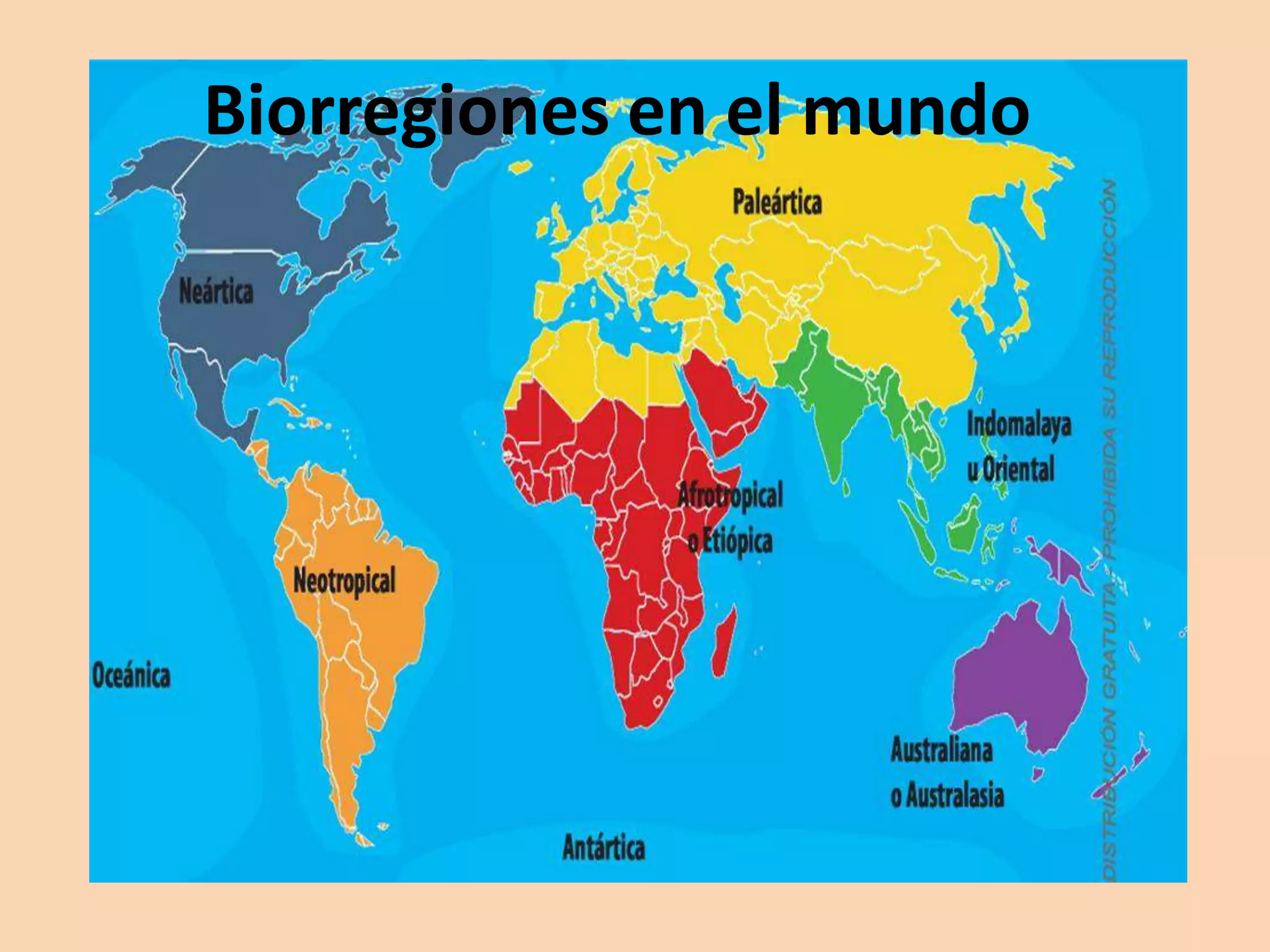 Biorregiones en el mundo | PPTX