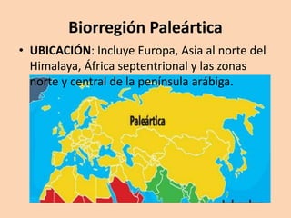 Biorregiones en el mundo | PPTX