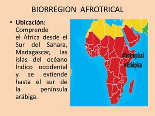 Biorregiones en el mundo | PPTX