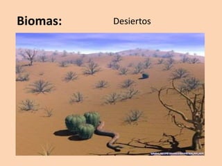 Biorregiones en el mundo | PPTX