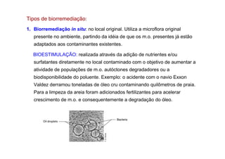 Tipos de biorremediação:
1. Biorremediação in situ: no local original. Utiliza a microflora original
presente no ambiente, partindo da idéia de que os m.o. presentes já estão
adaptados aos contaminantes existentes.
BIOESTIMULAÇÃO: realizada através da adição de nutrientes e/ou
surfatantes diretamente no local contaminado com o objetivo de aumentar a
atividade de populações de m.o. autóctones degradadores ou a
biodisponibilidade do poluente. Exemplo: o acidente com o navio Exxon
Valdez derramou toneladas de óleo cru contaminando quilômetros de praia.
Para a limpeza da areia foram adicionados fertilizantes para acelerar
crescimento de m.o. e consequentemente a degradação do óleo.

 