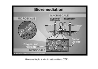 Biorremediação in situ do tricloroetileno (TCE).

 