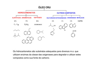 Os hidrocarbonetos são substratos adequados para diversos m.o. que
utilizam enzimas da classe das oxigenases para degradar e utilizar estes
compostos como sua fonte de carbono.

 