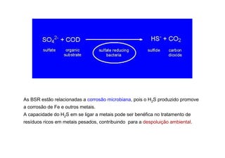 As BSR estão relacionadas a corrosão microbiana, pois o H2S produzido promove
a corrosão de Fe e outros metais.
A capacidade do H2S em se ligar a metais pode ser benéfica no tratamento de
resíduos ricos em metais pesados, contribuindo para a despoluição ambiental.

 