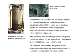 Partículas cobertas
com BSR

O descarte de lixo e resíduos em rios e lagos aumenta
teor de matéria-orgânica e conseqüentemente a
redução de sulfato. O HS- é tóxico por se combinar
com Fe dos citocromos e outros componentes
essenciais das células levando a morte de peixes e
outros organismos aquáticos.
Reator leito fixo para
remoção metais tóxicos

Uma alternativa para detoxificação do HS- em águas é
a adição de sais de Fe para formação de FeS insolúvel
(biorremediação de águas contaminadas).
Em ambientes onde ocorre a redução de sulfato
observa-se coloração escura no sedimentos devido a
acúmulo de compostos insolúveis de enxofre.

 