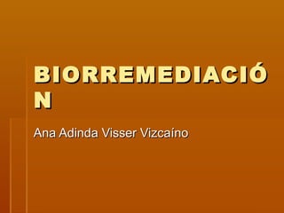 BIORREMEDIACIÓBIORREMEDIACIÓ
NN
Ana Adinda Visser VizcaínoAna Adinda Visser Vizcaíno
 