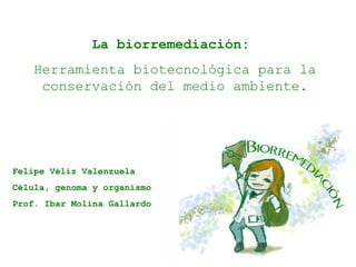 La biorremediación:
    Herramienta biotecnológica para la
     conservación del medio ambiente.




Felipe Véliz Valenzuela
Célula, genoma y organismo
Prof. Ibar Molina Gallardo
 