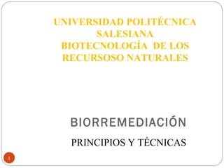 UNIVERSIDAD POLITÉCNICA
           SALESIANA
     BIOTECNOLOGÍA DE LOS
     RECURSOSO NATURALES




      BIORREMEDIACIÓN
      PRINCIPIOS Y TÉCNICAS
1
 
