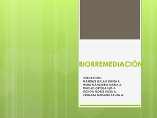 BIORREMEDIACIÓN
INTEGRANTES:
MARTINEZ GALAN YURIZA P.
MEJIA MANJARRES MARIA A.
MURILLO ORTEGA LUIS A.
OCHOA FLOREZ LUCIA A.
VERGARA MERLANO LAURA A.
1
 