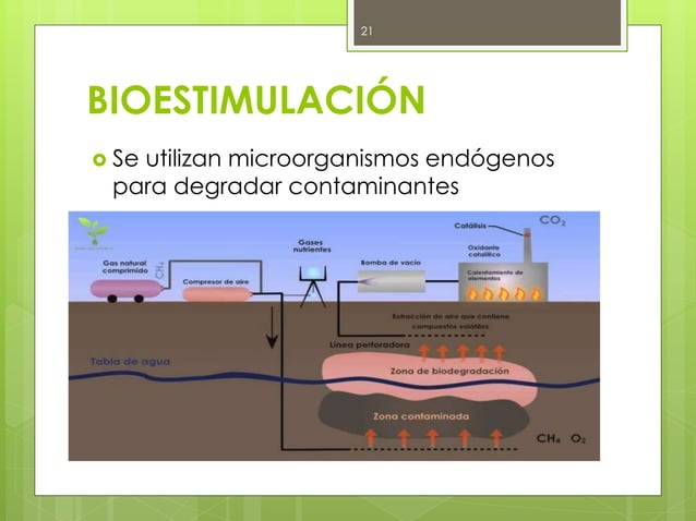 Biorremediación