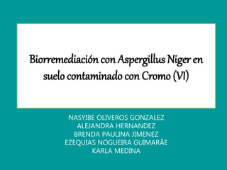 Biorremediación con Aspergillus Niger en
suelo contaminado con Cromo (VI)
NASYIBE OLIVEROS GONZALEZ
ALEJANDRA HERNANDEZ
BRENDA PAULINA JIMENEZ
EZEQUIAS NOGUEIRA GUIMARÃE
KARLA MEDINA
 