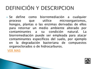  Se define como biorremediación a cualquier
proceso que utilice microorganismos,
hongos, plantas o las enzimas derivadas de ellos
para retornar un medio ambiente alterado por
contaminantes a su condición natural. La
biorremediación puede ser empleada para atacar
contaminantes específicos del suelo, por ejemplo
en la degradación bacteriana de compuestos
organoclorados o de hidrocarburos.
VER MAS
 