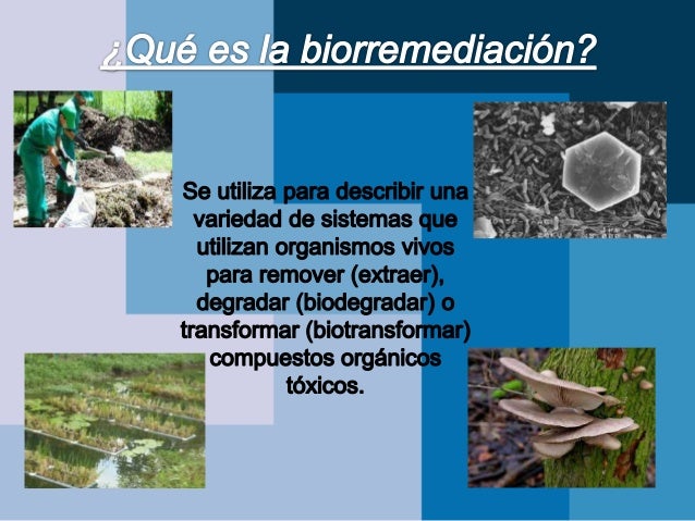 Biorremediación c