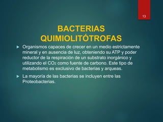 BACTERIAS
QUIMIOLITÓTROFAS
 Organismos capaces de crecer en un medio estrictamente
mineral y en ausencia de luz, obteniendo su ATP y poder
reductor de la respiración de un substrato inorgánico y
utilizando el CO2 como fuente de carbono. Este tipo de
metabolismo es exclusivo de bacterias y arqueas.
 La mayoría de las bacterias se incluyen entre las
Proteobacterias.
13
 