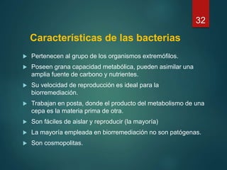 Características de las bacterias
 Pertenecen al grupo de los organismos extremófilos.
 Poseen grana capacidad metabólica, pueden asimilar una
amplia fuente de carbono y nutrientes.
 Su velocidad de reproducción es ideal para la
biorremediación.
 Trabajan en posta, donde el producto del metabolismo de una
cepa es la materia prima de otra.
 Son fáciles de aislar y reproducir (la mayoría)
 La mayoría empleada en biorremediación no son patógenas.
 Son cosmopolitas.
32
 