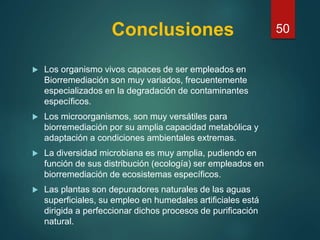 Conclusiones
 Los organismo vivos capaces de ser empleados en
Biorremediación son muy variados, frecuentemente
especializados en la degradación de contaminantes
específicos.
 Los microorganismos, son muy versátiles para
biorremediación por su amplia capacidad metabólica y
adaptación a condiciones ambientales extremas.
 La diversidad microbiana es muy amplia, pudiendo en
función de sus distribución (ecología) ser empleados en
biorremediación de ecosistemas específicos.
 Las plantas son depuradores naturales de las aguas
superficiales, su empleo en humedales artificiales está
dirigida a perfeccionar dichos procesos de purificación
natural.
50
 