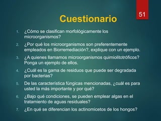 Cuestionario
1. ¿Cómo se clasifican morfológicamente los
microorganismos?
2. ¿Por qué los microorganismos son preferentemente
empleados en Biorremediación?, explique con un ejemplo.
3. ¿A quienes llamamos microorganismos quimiolitotróficos?
Ponga un ejemplo de ellos.
4. ¿Cuál es la gama de residuos que puede ser degradada
por bacterias?
5. De las característica fúngicas mencionadas, ¿cuál es para
usted la más importante y por qué?
6. ¿Bajo qué condiciones, se pueden emplear algas en el
tratamiento de aguas residuales?
7. ¿En qué se diferencian los actinomicetos de los hongos?
51
 