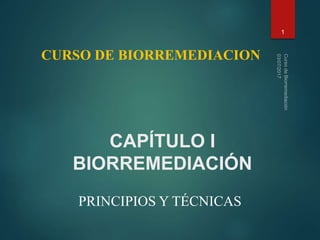 CAPÍTULO I
BIORREMEDIACIÓN
1
PRINCIPIOS Y TÉCNICAS
CURSO DE BIORREMEDIACION
 