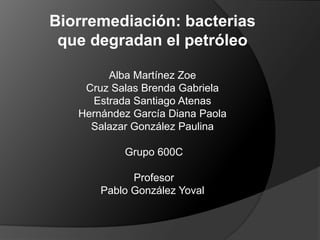 Biorremediación: bacterias
 que degradan el petróleo

         Alba Martínez Zoe
    Cruz Salas Brenda Gabriela
      Estrada Santiago Atenas
   Hernández García Diana Paola
     Salazar González Paulina

           Grupo 600C

             Profesor
       Pablo González Yoval
 