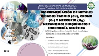 BIORREMEDIACIÓN DE METALES
PESADOS CADMIO (Cd), CROMO
(Cr) Y MERCURIO (Hg)
MECANISMOS BIOQUÍMICOS E
INGENIERÍA GENÉTICA
UNIVERSIDAD NACIONAL DE MOQUEGUA
Escuela Profesional de Ingeniería Ambiental
DOCENTE: Dr. HEBERT H.SOTO GONZALES
INTEGRANTES:
• LUIS SANTIAGO MALDONADO RONDO
• DEYSY MAGALI INCACUTIPA LAYME
• HECTOR RINALDO DAMIAN FLORES
• HENRY GONZALO CCAMA LLANQUE
• VALERIA FERNANDA AMPUERO HERRERA
2021
AUTOR :Mayra Eleonora Beltrán-Pineda, Alida Marcela Gómez-Rodríguez
 