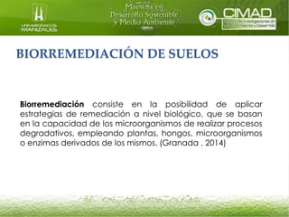 BIORREMEDIACIÓN DE SUELOS 
Biorremediación consiste en la posibilidad de aplicar 
estrategias de remediación a nivel biológico, que se basan 
en la capacidad de los microorganismos de realizar procesos 
degradativos, empleando plantas, hongos, microorganismos 
o enzimas derivados de los mismos. (Granada , 2014) 
 